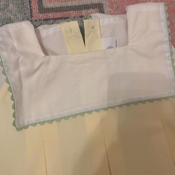 Proper Peony Floral Trim Pleat Dress - Picture 2 of 10